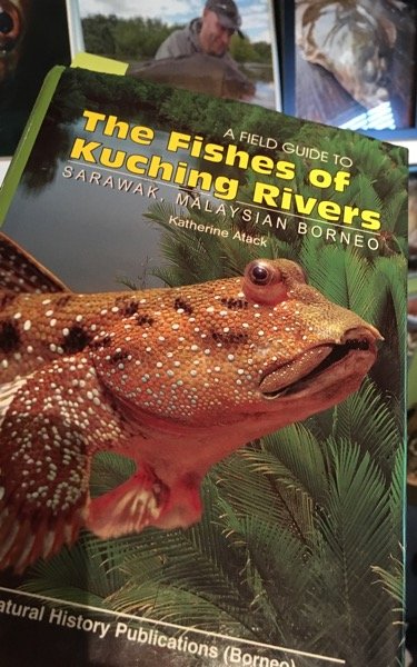 borneo-fishbook