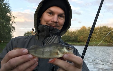 aborre natfiskeri fiskefoto.dk