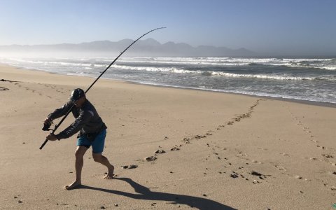 MMM cape town fis false bayhing adventures wikus shark fight
