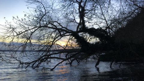 Solnedgang ved Vive Havn Mariager Fjord