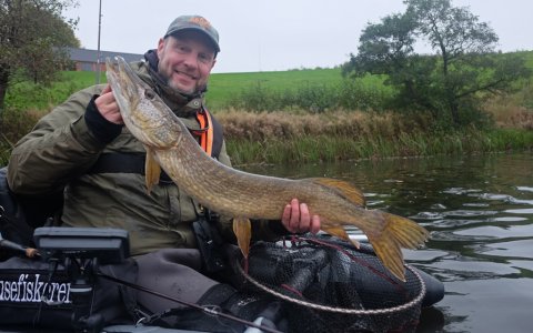 Præsentation af bonusfangsten - gedde på 91 cm under aborrefiskeriet fra flydering
