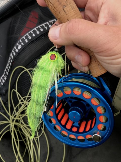 vision big daddy geddefiskeri fluefiskeri flydering 