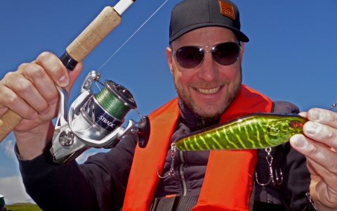 daiwa prorex geddefiskeri vestjylland lystfiskeri