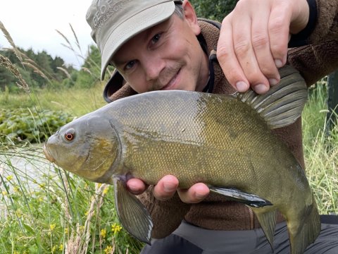 Tinca tinca - FiskeFoto.dk med turens første suder