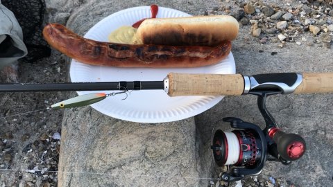 dagens fangst - den lange