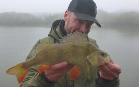 aborre medefiskeri agnfisk