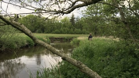 lunden hover å lystfiskeri