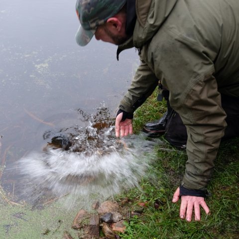 pike gedde hecht fiskeri levende agn mose fiskeri