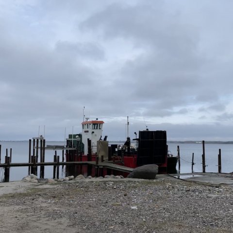 Færgehavnen ved Husby Strand
