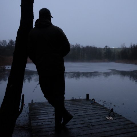 Pausefisker i silhuet