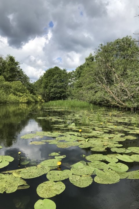 Den skønne østjyske natur set fra åen