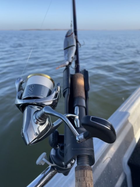 Shimano Stella Savage Gear 4play