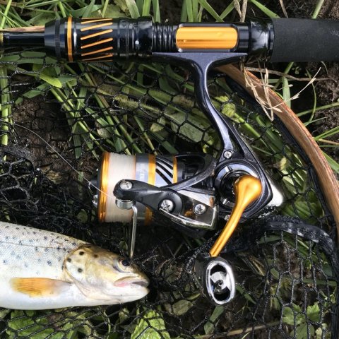 bækørred hover å Vestjylland lystfiskeri sportex ulfishing ulfiskeri mepps aglia daiwa