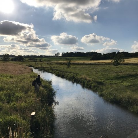 hover å bækørred Vestjylland spinnefiskeri mepps aglia ørred trout