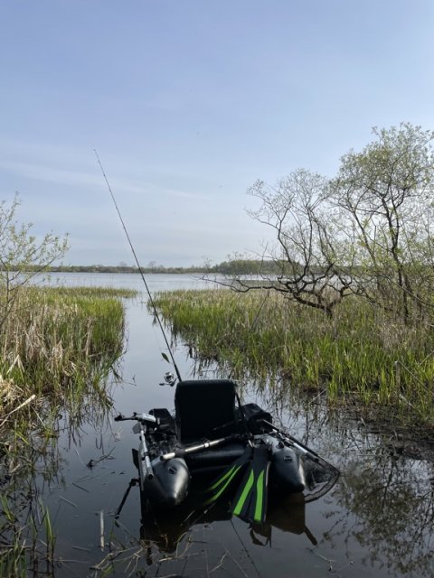 Flydering kampklar ved Karlsgårde Sø