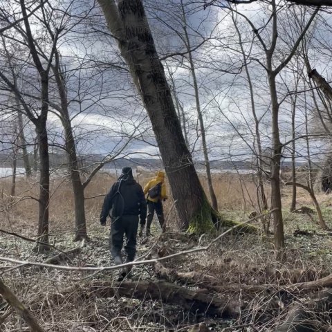 Fiskeriet starter vest for Vive Havn