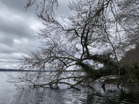 Perfekte forhold til ørredjagten