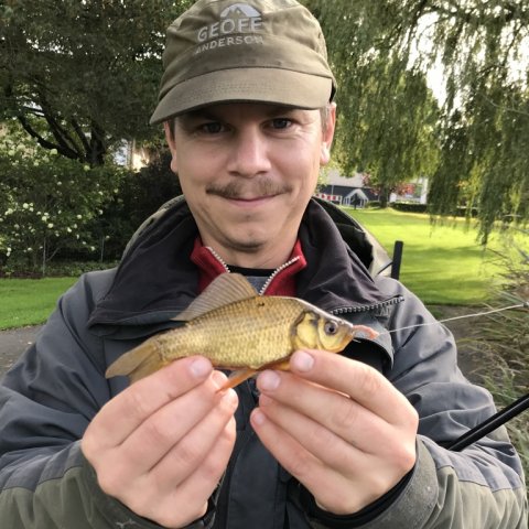 medefiskeri guldfisk karpe karusse