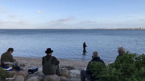 live fra kommentatorboksen ved Limfjorden