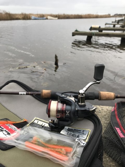 vons lystfiskeri Vestjylland aborre barsch