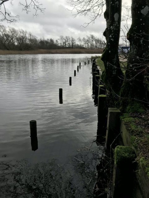 skjern bådehavn aborre gedde fiskeri Vestjylland