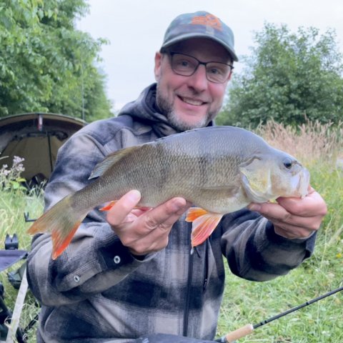 Pausefiskeren med fin aborre