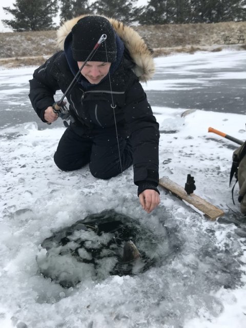 isfiskeri loch nees put and take regnbueørred
