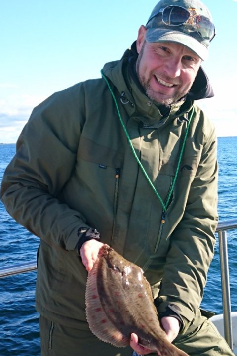 skrubbe rødspætte langelandsbæltet Felix fiskeri