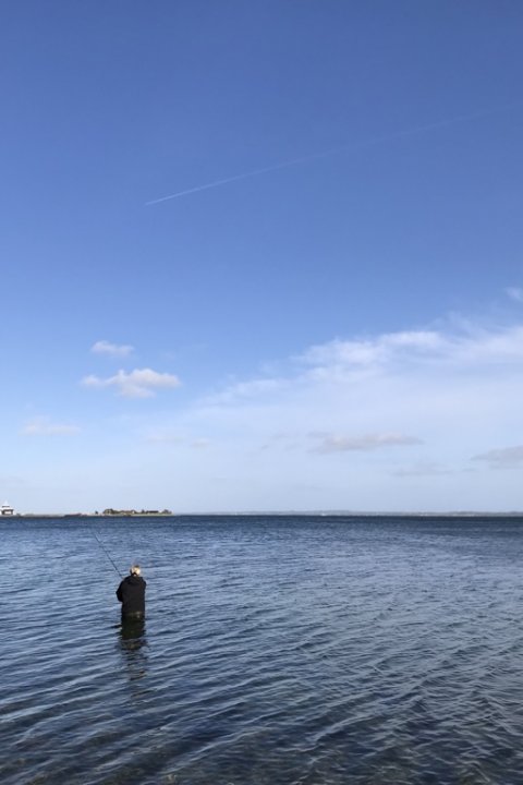 spinnefiskeri i læsiden 