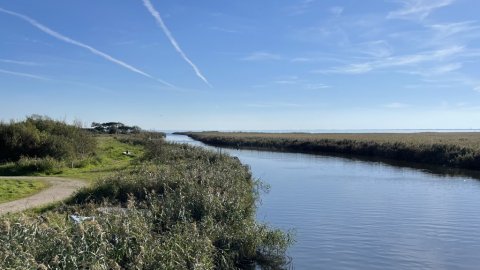 Vonåen ved Ringkøbing en dejlig sensommerdag