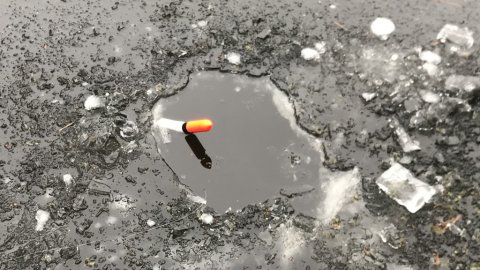 flådfiskeri levende agn mosefiskeri