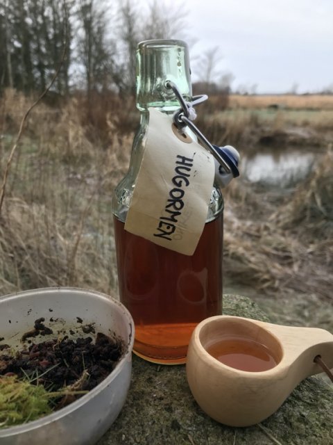 hover å lystfiskeri vestjylland bækørred havørred laks