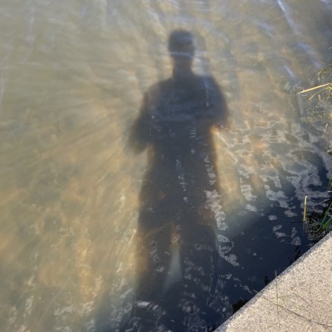 Sommerstemning - Skyggen af en Pausefisker