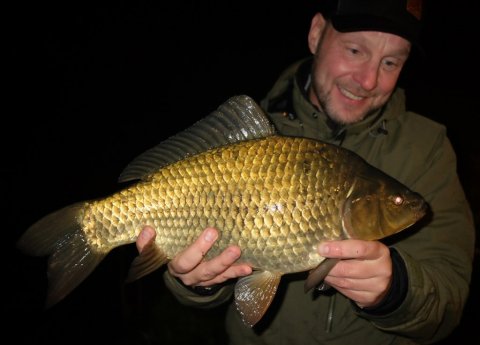 karusse karpe hybrid