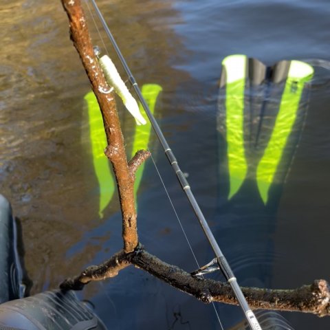 Formiddagens største fangst fra flyderingen