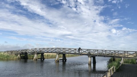 engbroen sommer fiskeri vonåen