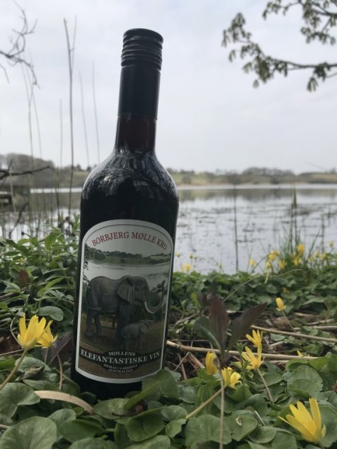 sølvmedalje Borbjerg møllesø gedde fiskeri vinpræmie gedde fiskeri