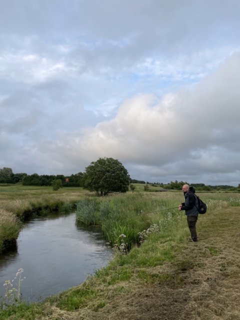 Gæsten på jagt efter sin første vestjyske vildørred