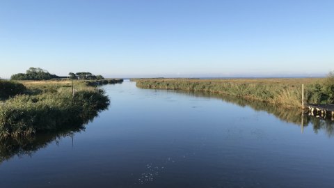 vonå aborre perch barsch vestjylland fiskeri