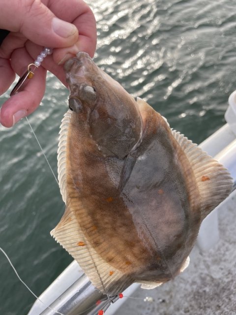 Ising fanget på børsteorm