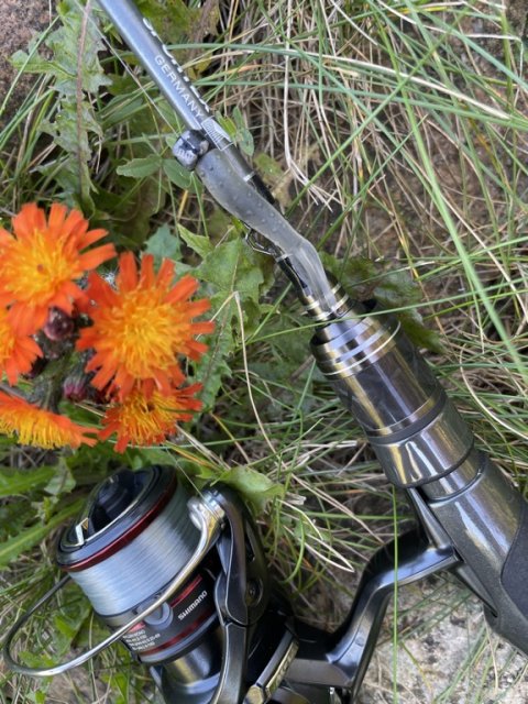 Shimano Vanford og Sportex Black Arrow G3 i sensommer-aktion