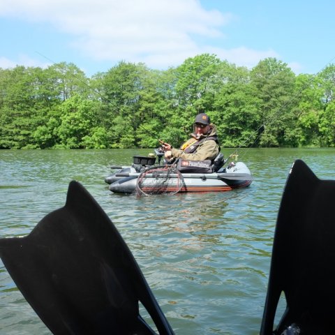 badedyr svømmefødder søfiskeri