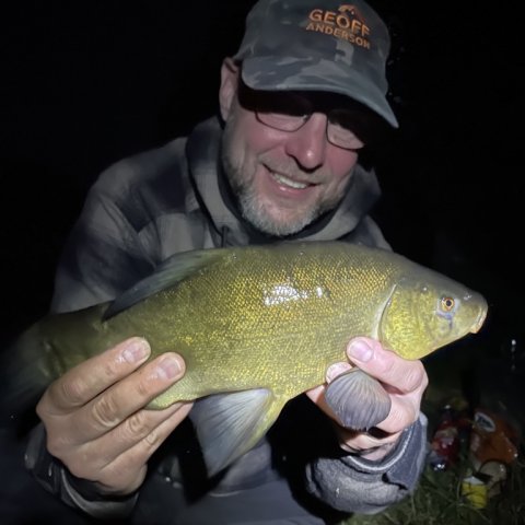Portræt af suder og Pausefisker