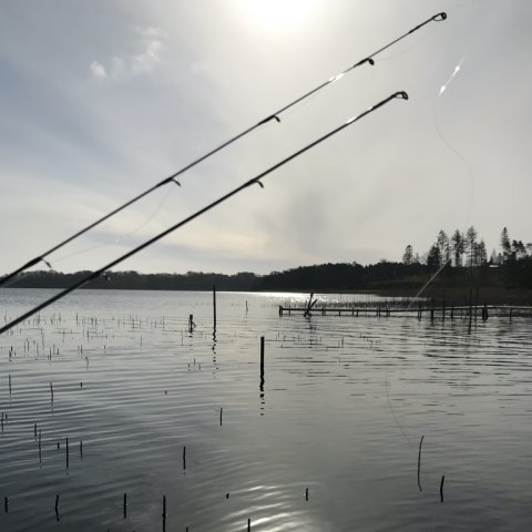 østjylland lystfiskeri aborre jolle dørge