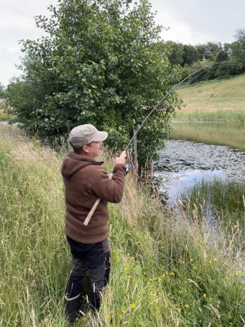 Fight på aborrestangen