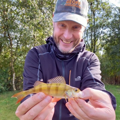 aborre Pausefiskeren vinderfisk