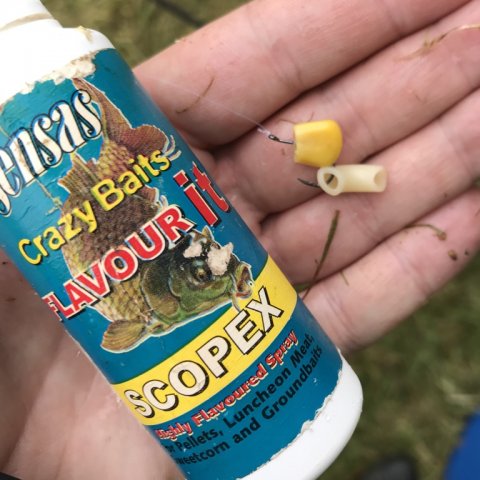 Krog agn og lokkemidler