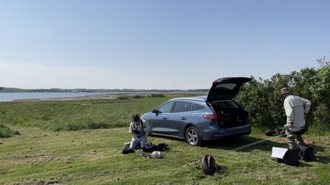 Klargøring ved Limfjorden