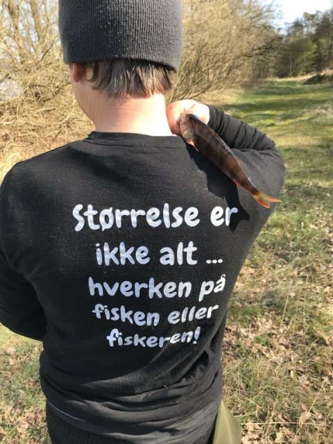 størrelse er ikke alt aborre fiskefoto.dk