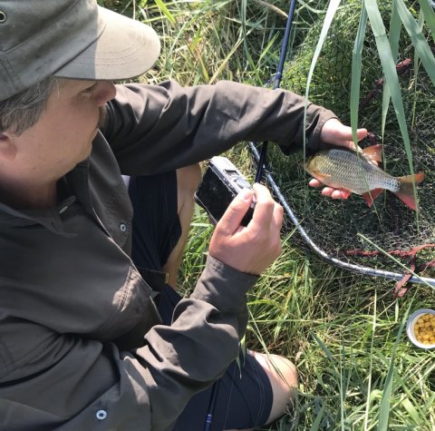 fiskefoto.dk kasper strube portræt skæl rudskalle